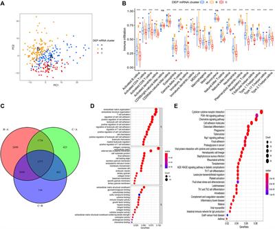 A Novel Quantification System Combining iTRAQ Technology and Multi-Omics Assessment to Predict Prognosis and Immunotherapy Efficacy in Colon Cancer